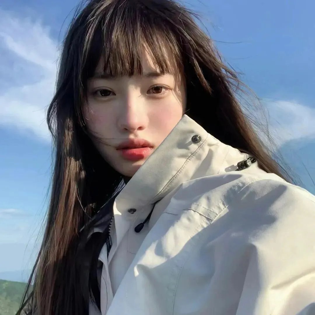 狗狗史酷比